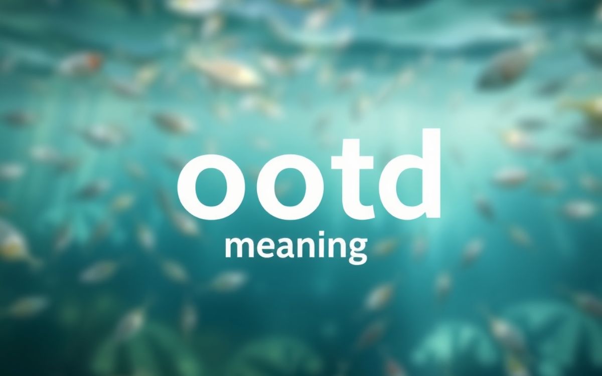 OOTD Meaning: Outfit of the Day Explained Simply