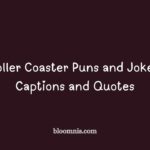 roller coaster puns and jokes