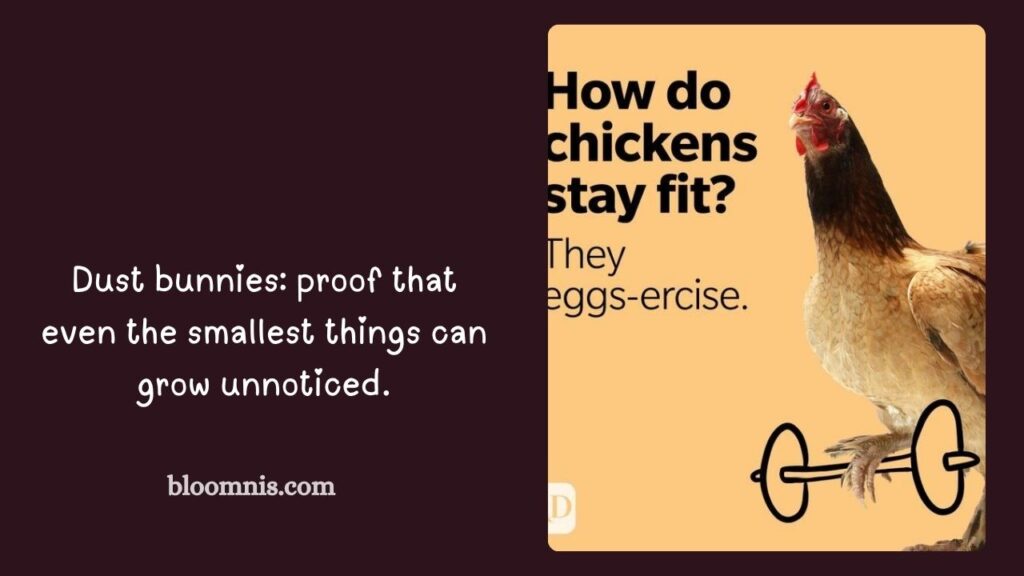 Cleaning Humor Captions