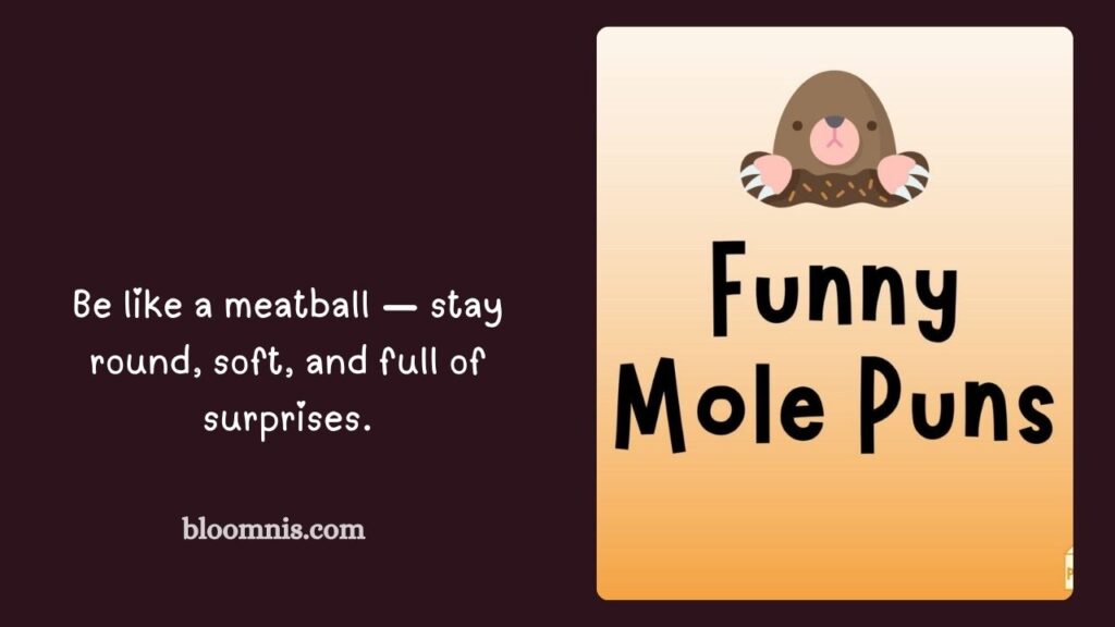 Foodie Humor Meatball Jokes